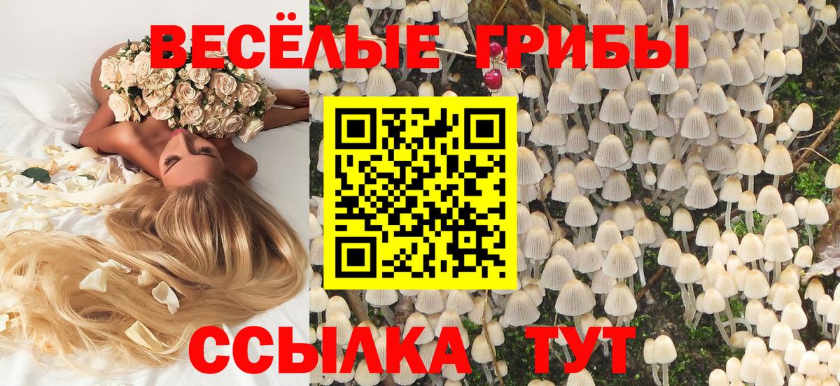 Губаха  Галлюциногенные грибы MAGIC MUSHROOMS  как найти наркотики  Вход с VPN 